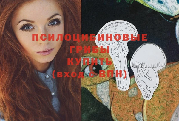 MDMA Богородск