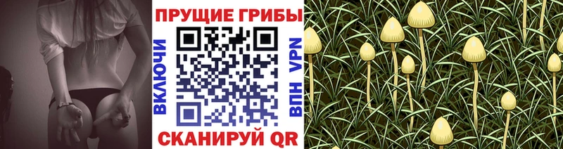 Галлюциногенные грибы Cubensis  Назарово 